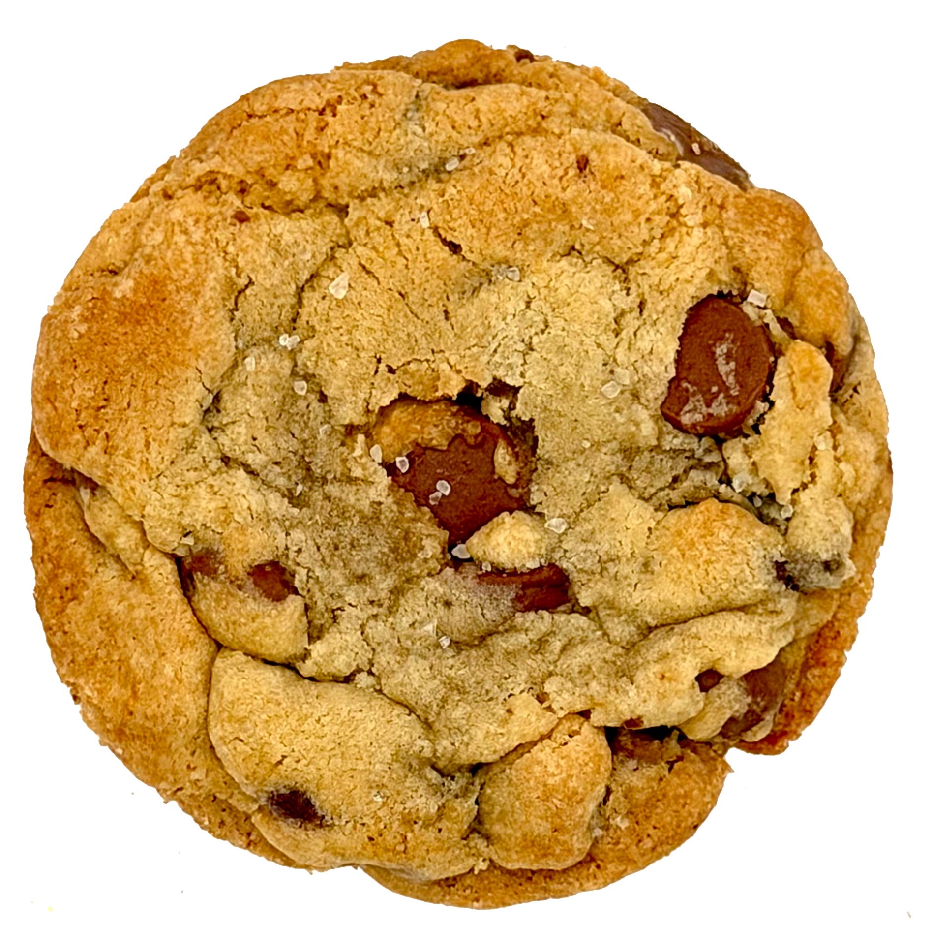 Call Me Big Poppa — Triple Chocolate Chip